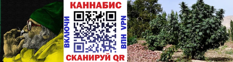 Марихуана план Купить Гусиноозёрск